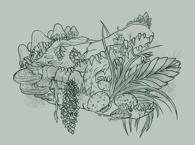 Lineart only for comparison