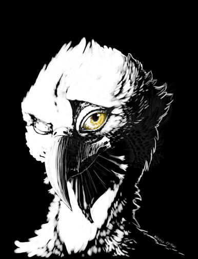 Portrait - Soft stylised - 1 colour : White + eye painting - black background