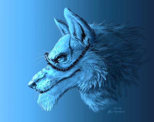 Portrait + lineart colouring
